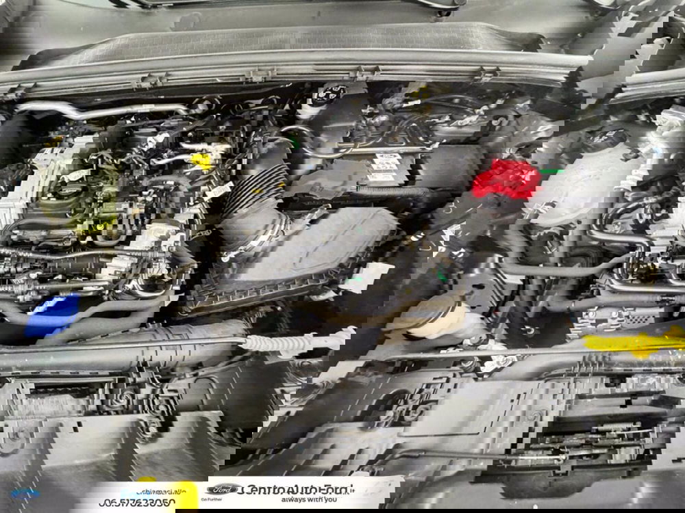 Ford Puma usata a Roma (12)