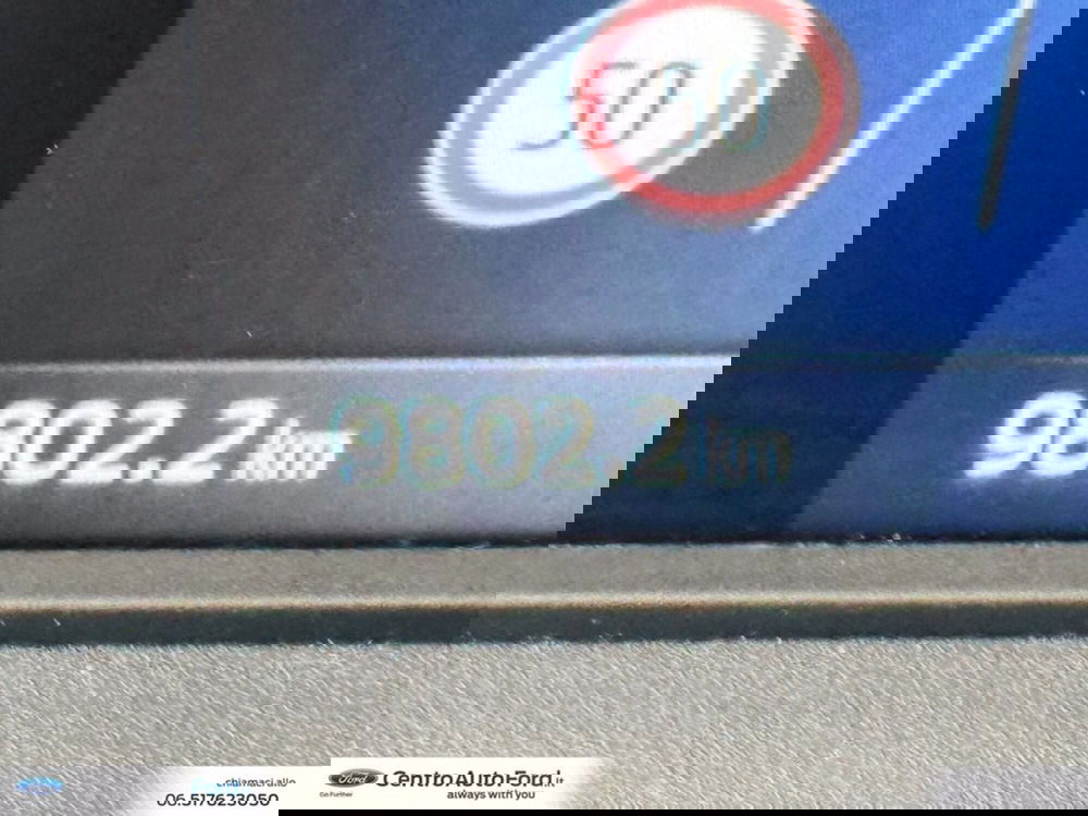 Ford Transit Custom Furgone usata a Roma (20)