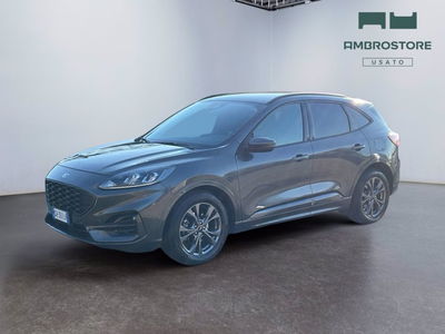 Ford Kuga 1.5 EcoBlue 120 CV 2WD ST-Line del 2022 usata a Milano