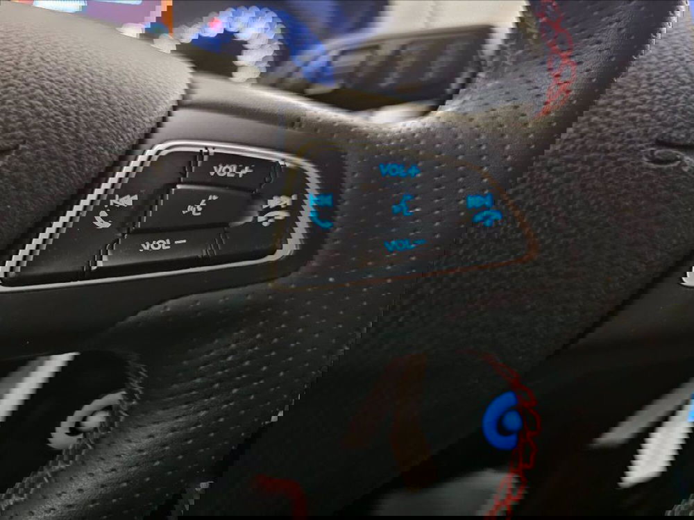 Ford EcoSport usata a Palermo (15)