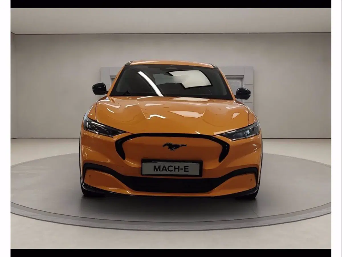 Ford Mustang Mach-E usata a Catania (2)