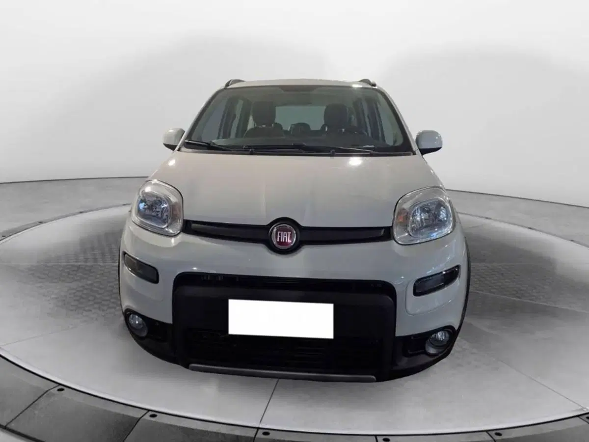 Fiat Panda usata a Torino (2)