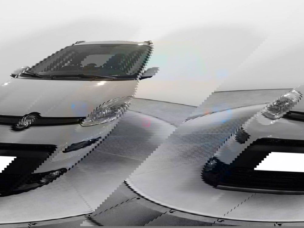 Fiat Panda usata a Torino (2)