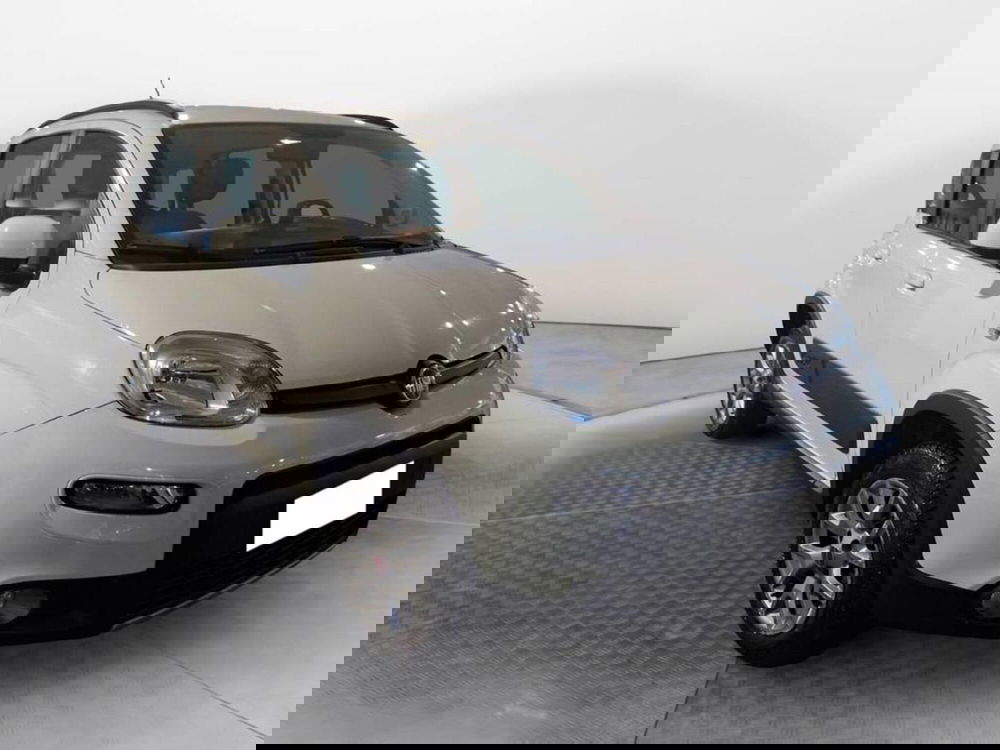 Fiat Panda usata a Torino (3)