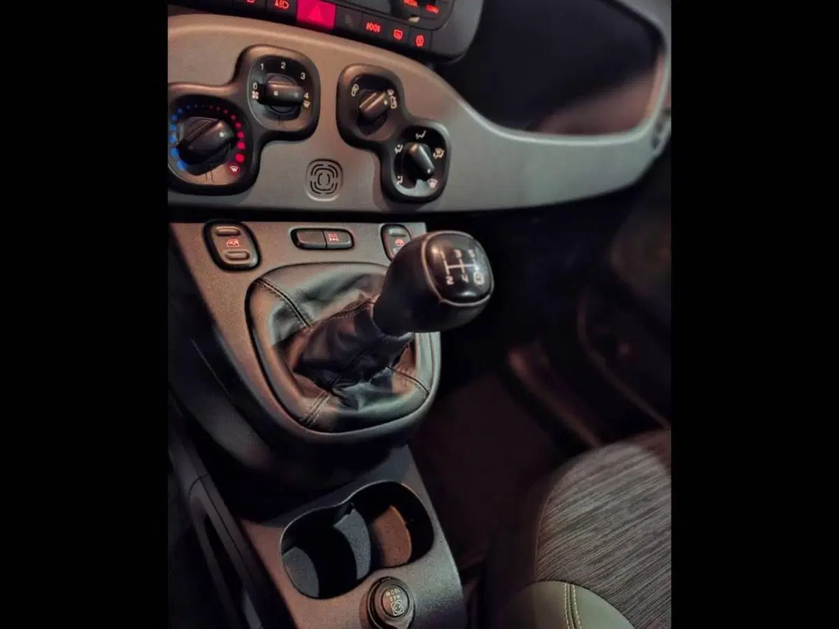 Fiat Panda usata a Torino (8)