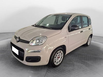 Fiat Panda 1.2 Easy del 2017 usata a Torino