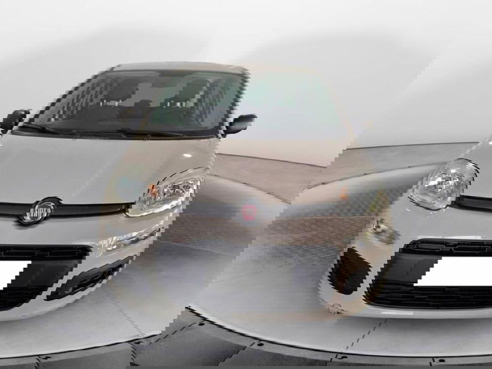 Fiat Panda usata a Torino (2)