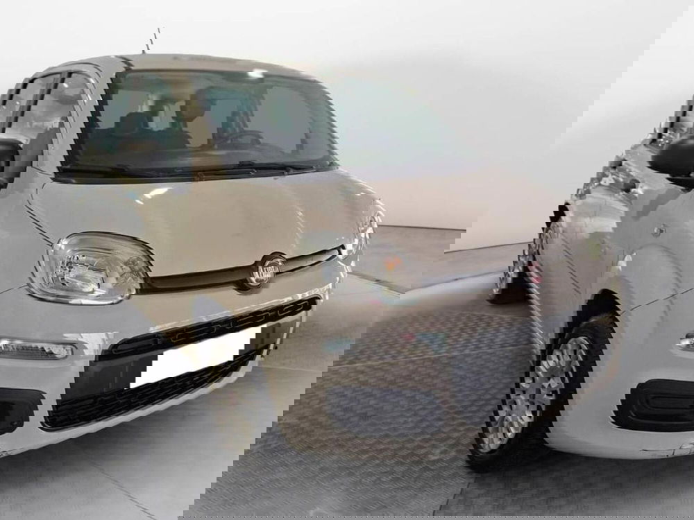 Fiat Panda usata a Torino (3)