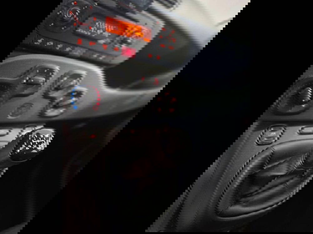 Fiat Panda usata a Torino (9)