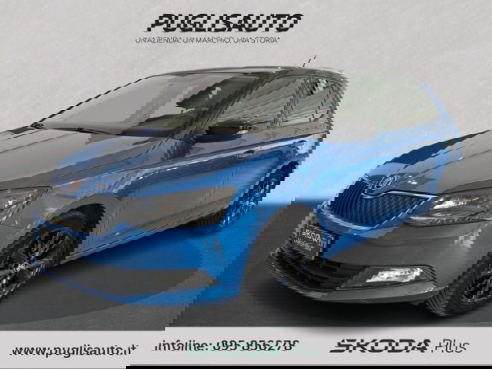 Skoda Fabia usata a Catania (3)