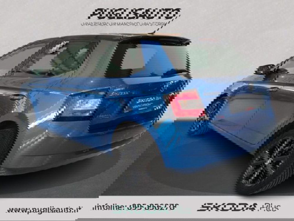 Skoda Fabia usata a Catania (6)