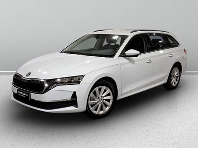 Skoda Octavia Station Wagon 2.0 tdi Executive 150cv dsg del 2024 usata a Piove di Sacco