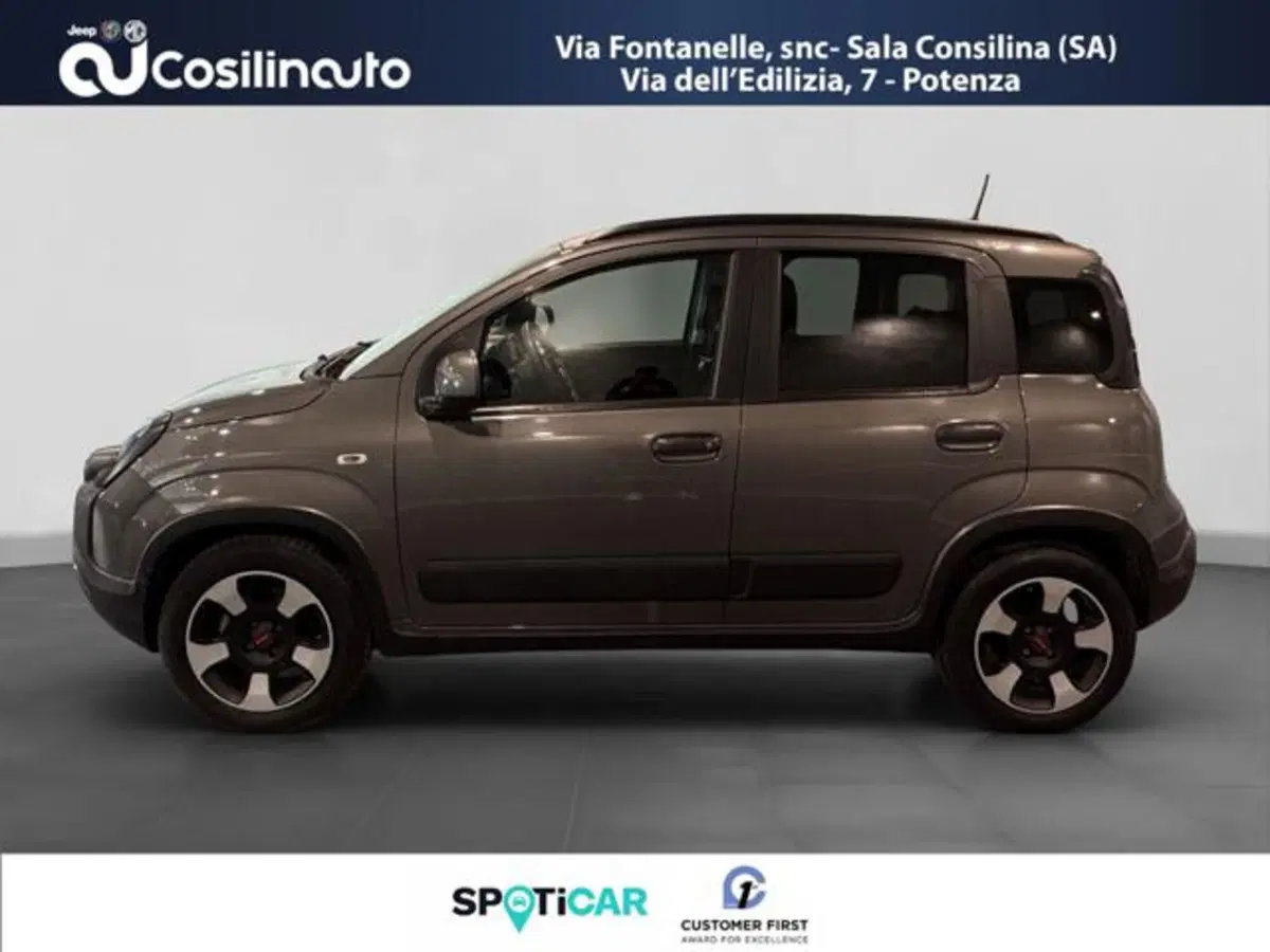 Fiat Panda Cross usata a Salerno (2)