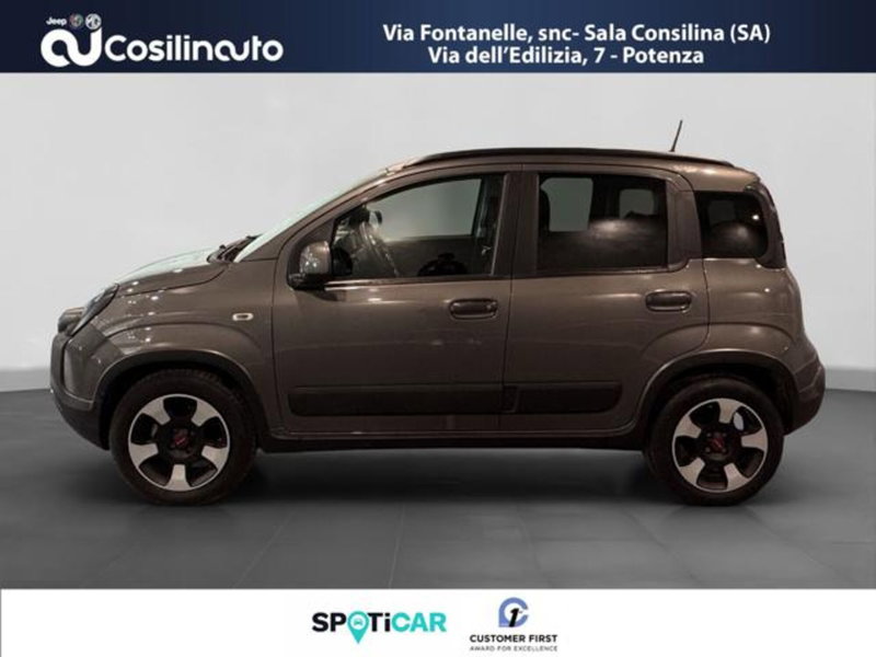 Fiat Panda Cross usata a Salerno (2)