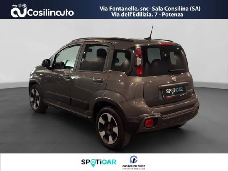 Fiat Panda Cross usata a Salerno (3)