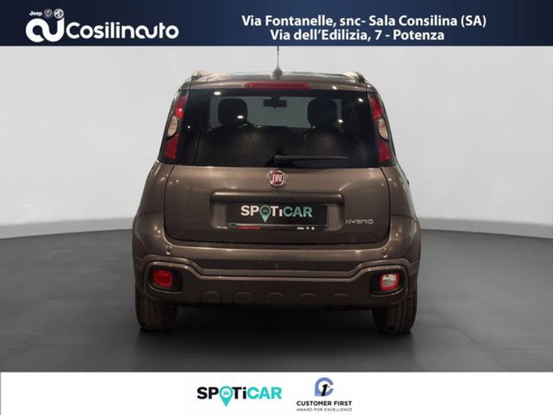 Fiat Panda Cross usata a Salerno (4)