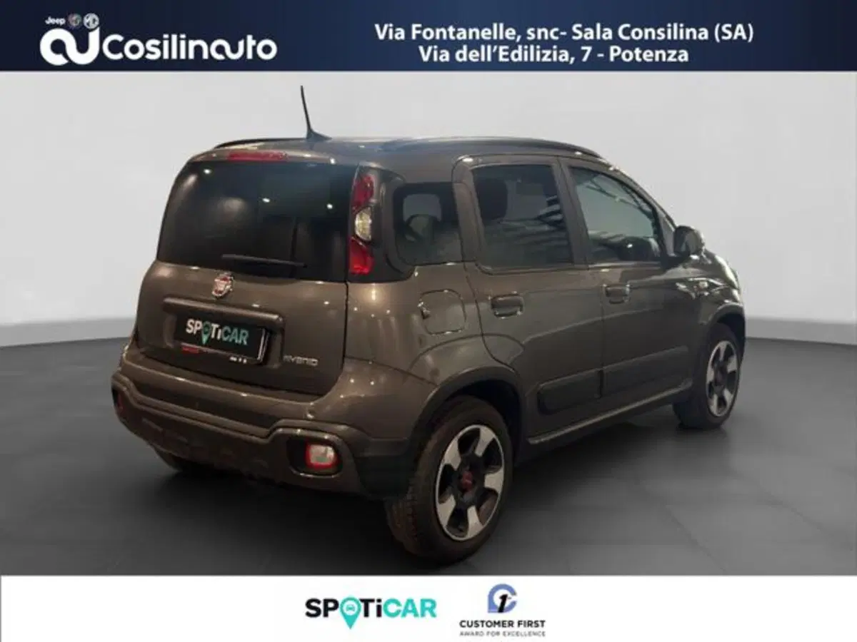 Fiat Panda Cross usata a Salerno (5)
