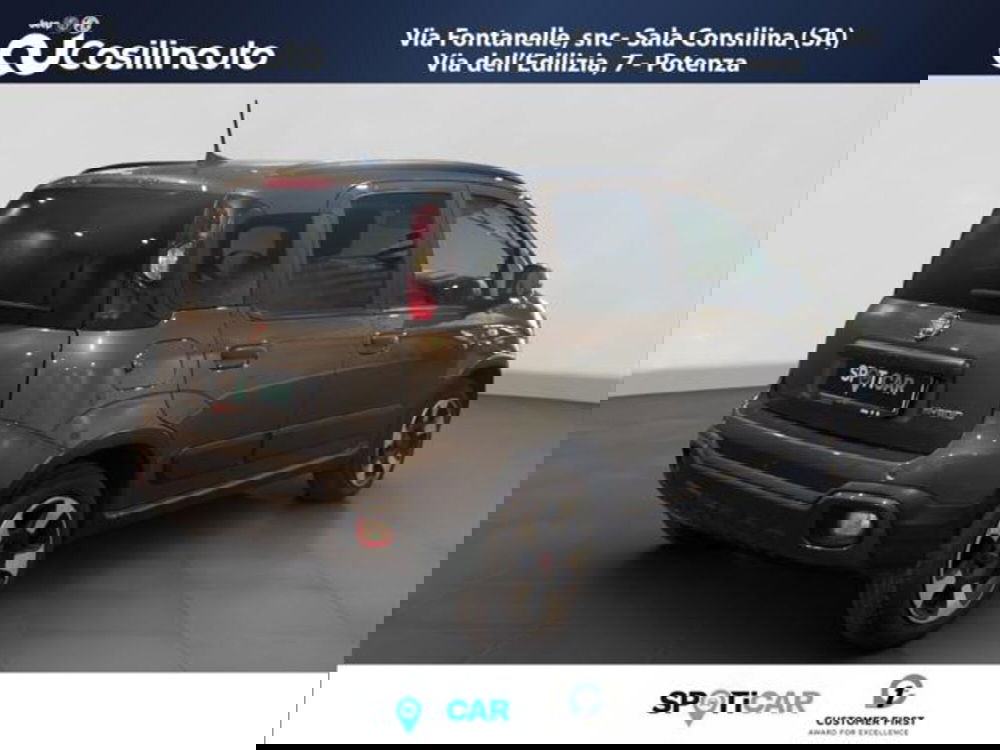 Fiat Panda Cross usata a Salerno (5)