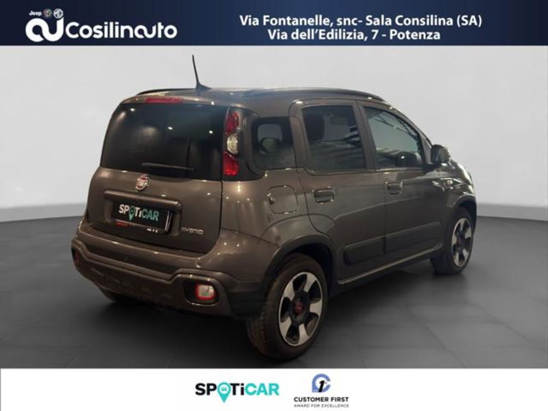 Fiat Panda Cross usata a Salerno (5)