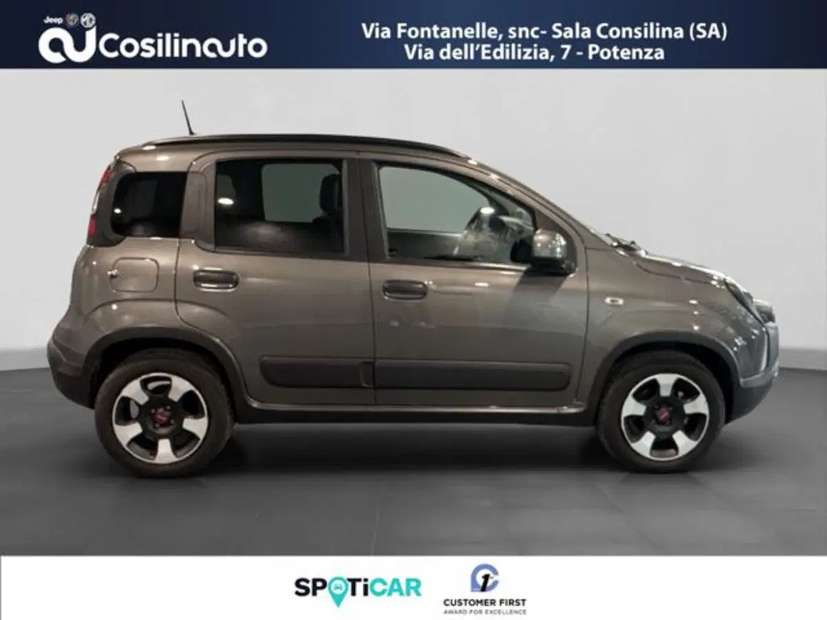 Fiat Panda Cross usata a Salerno (6)