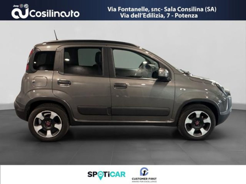Fiat Panda Cross usata a Salerno (6)