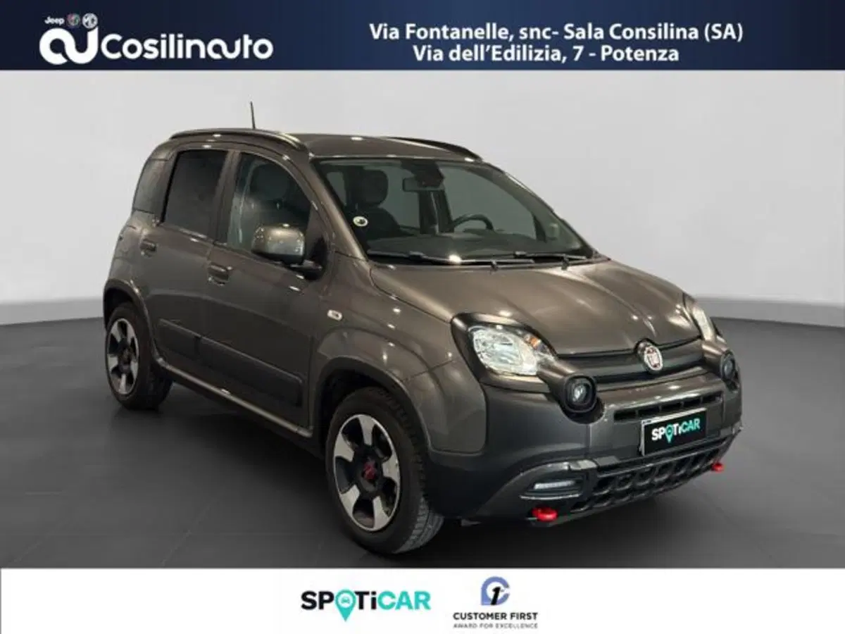 Fiat Panda Cross usata a Salerno (7)