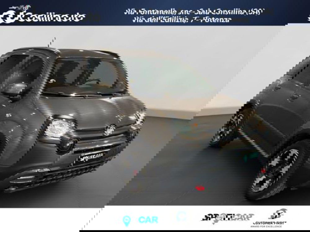 Fiat Panda Cross usata a Salerno (7)