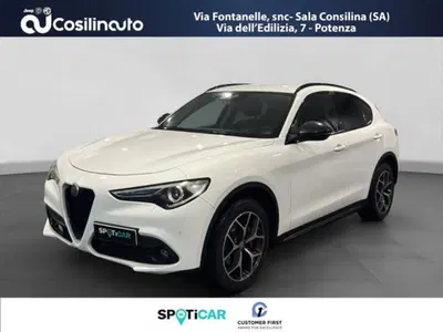Alfa Romeo Stelvio Stelvio 2.2 Turbodiesel 190 CV AT8 Q4 Executive del 2019 usata a Sala Consilina