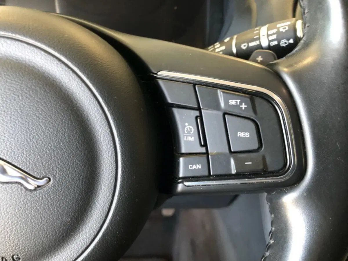 Jaguar F-Pace usata a Pistoia (14)