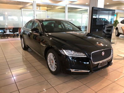 Jaguar XF 2.0 D 180 CV aut. Prestige del 2019 usata a Agliana