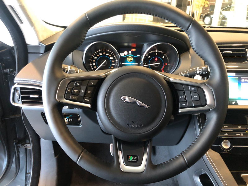 Jaguar F-Pace usata a Pistoia (5)