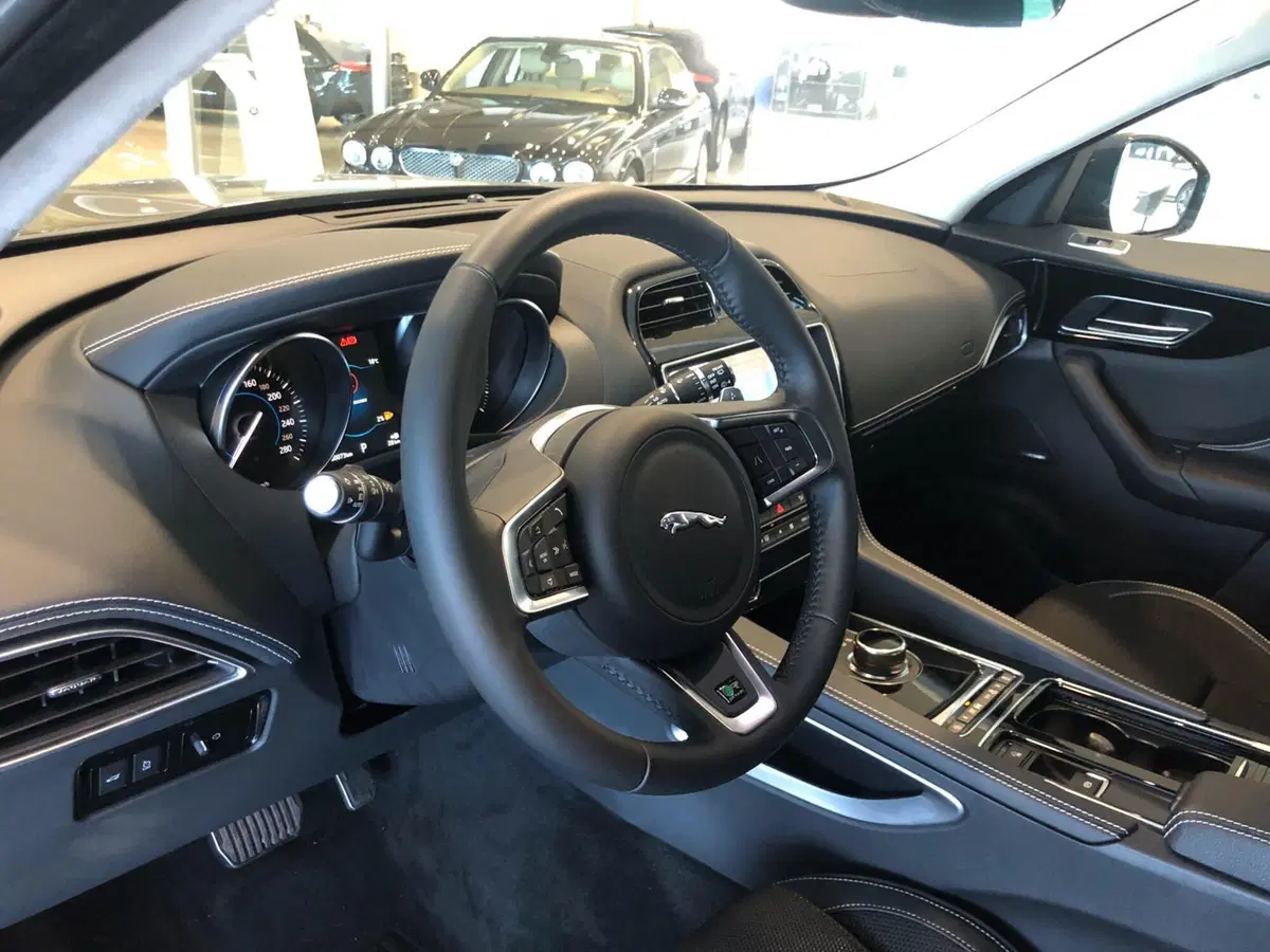Jaguar F-Pace usata a Pistoia (9)
