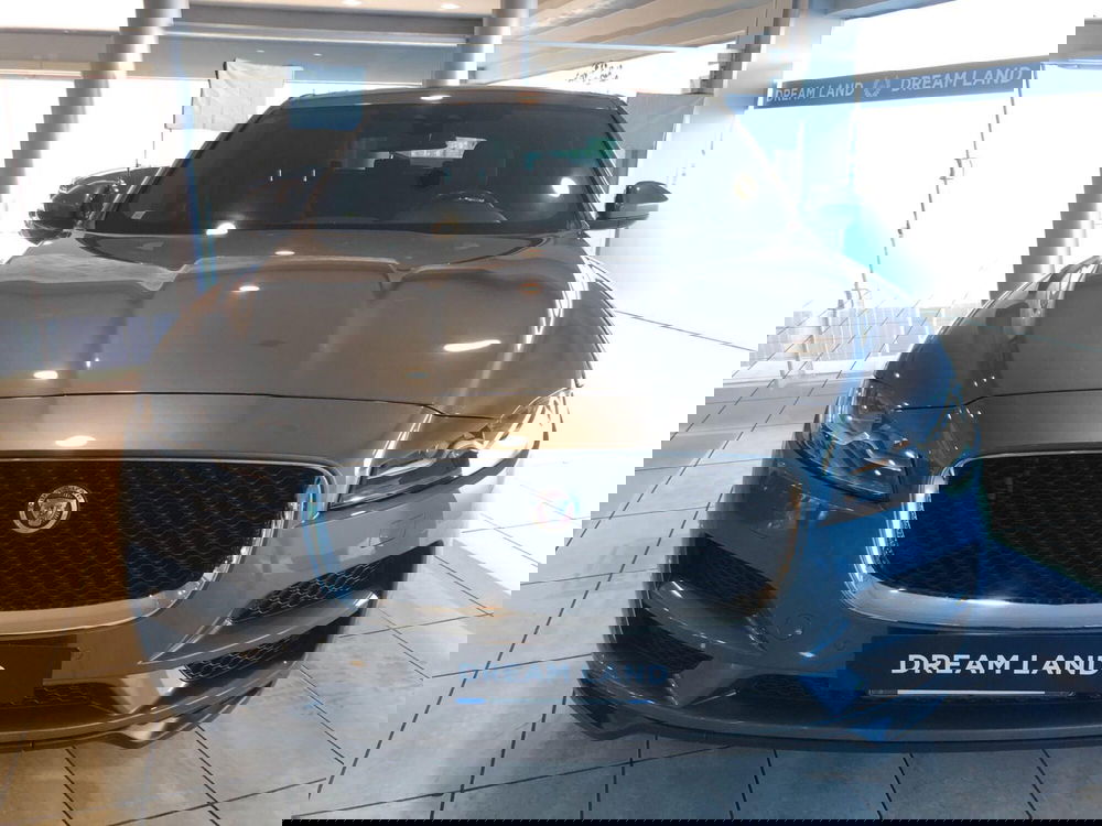 Jaguar F-Pace usata a Pistoia (11)