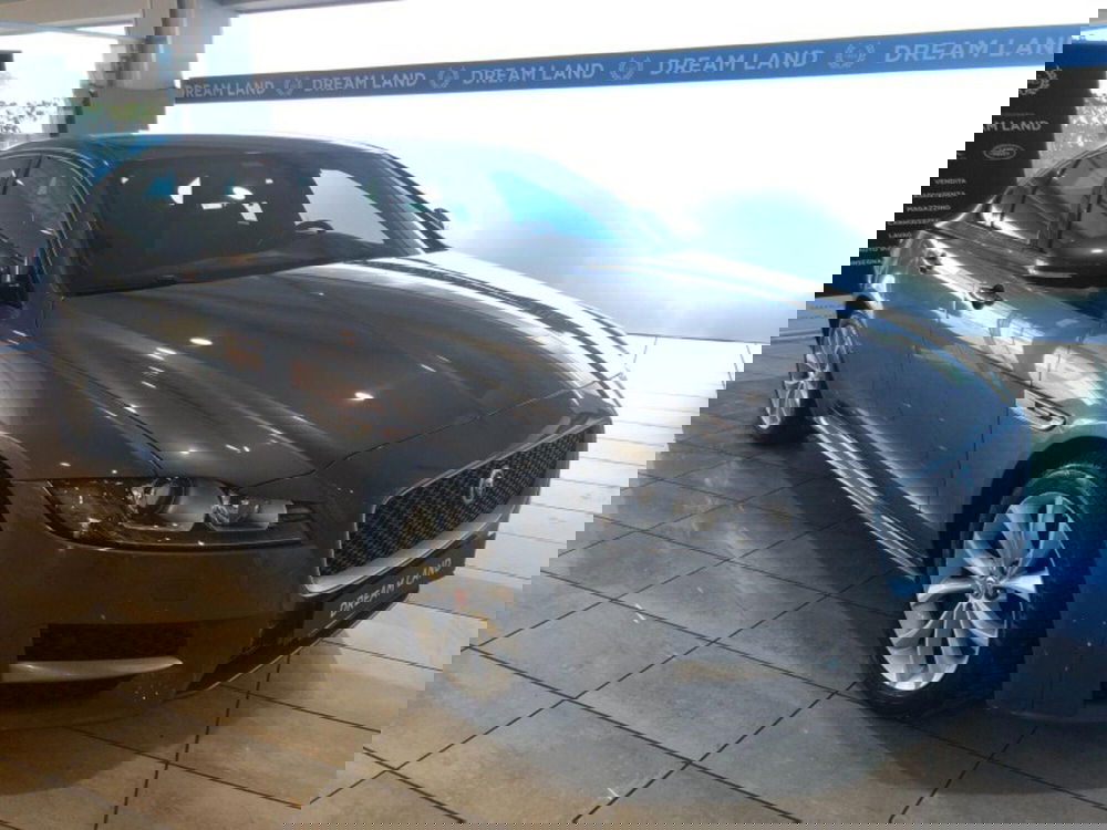 Jaguar XF usata a Pistoia