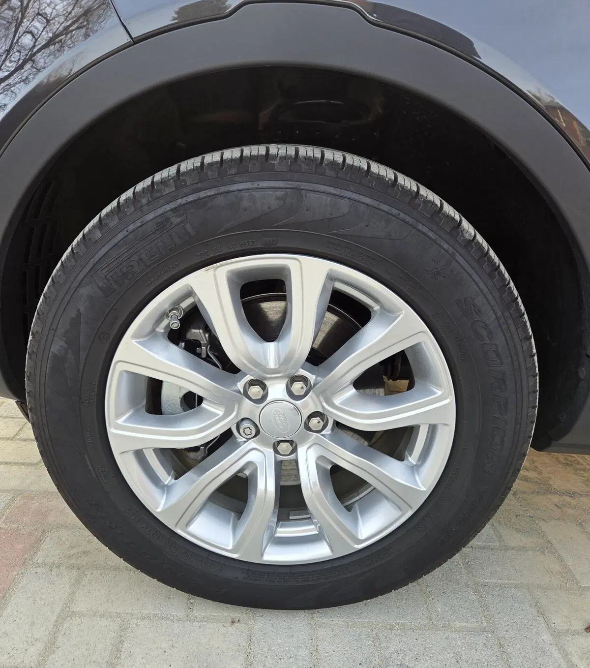 Land Rover Range Rover Evoque usata a Torino (14)