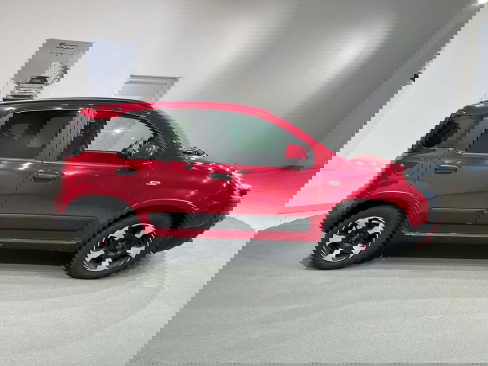 Fiat Panda Cross usata a Sondrio (2)