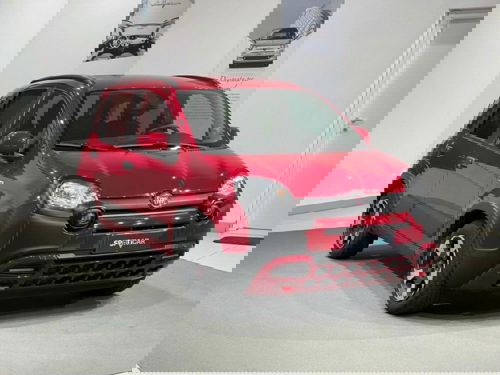 Fiat Panda Cross usata a Sondrio (7)