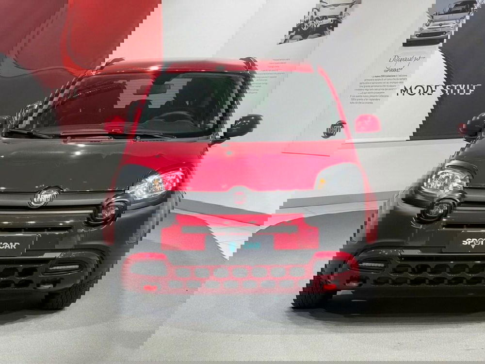 Fiat Panda Cross usata a Sondrio (8)