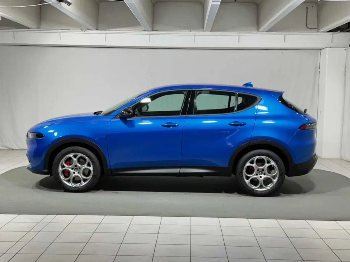 Alfa Romeo Tonale usata a Sondrio (2)