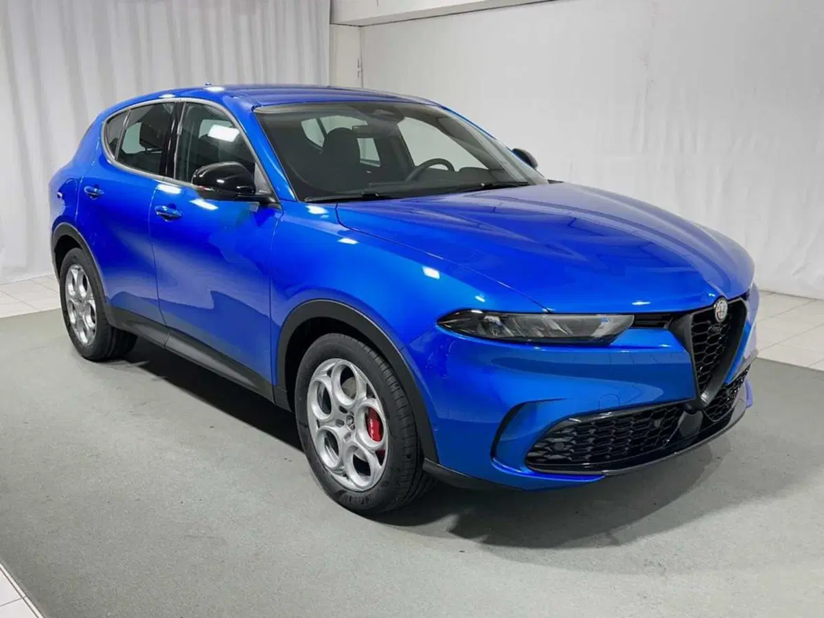 Alfa Romeo Tonale usata a Sondrio (7)