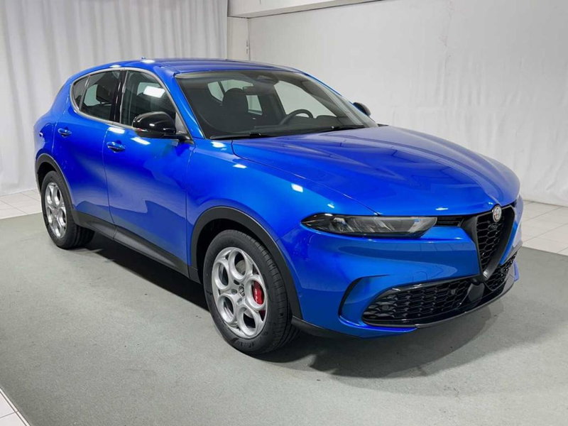 Alfa Romeo Tonale usata a Sondrio (7)