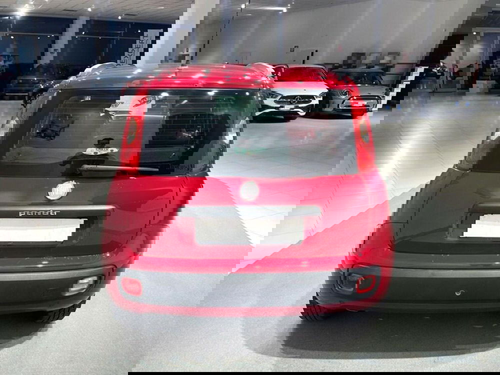 Fiat Panda usata a Sondrio (4)