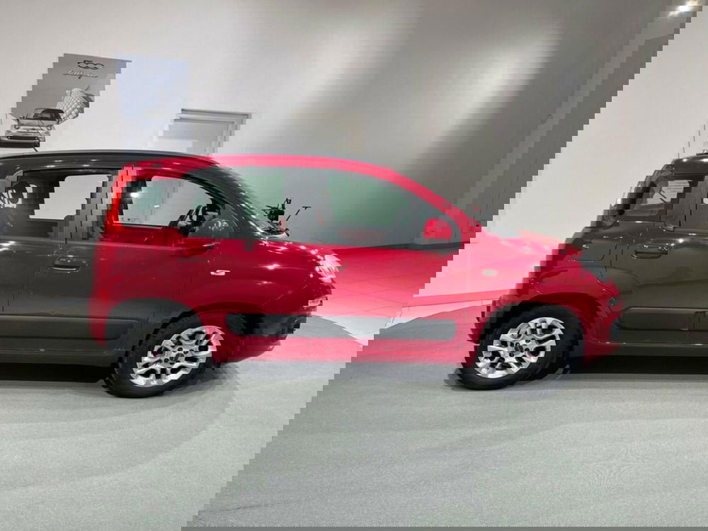 Fiat Panda usata a Sondrio (6)