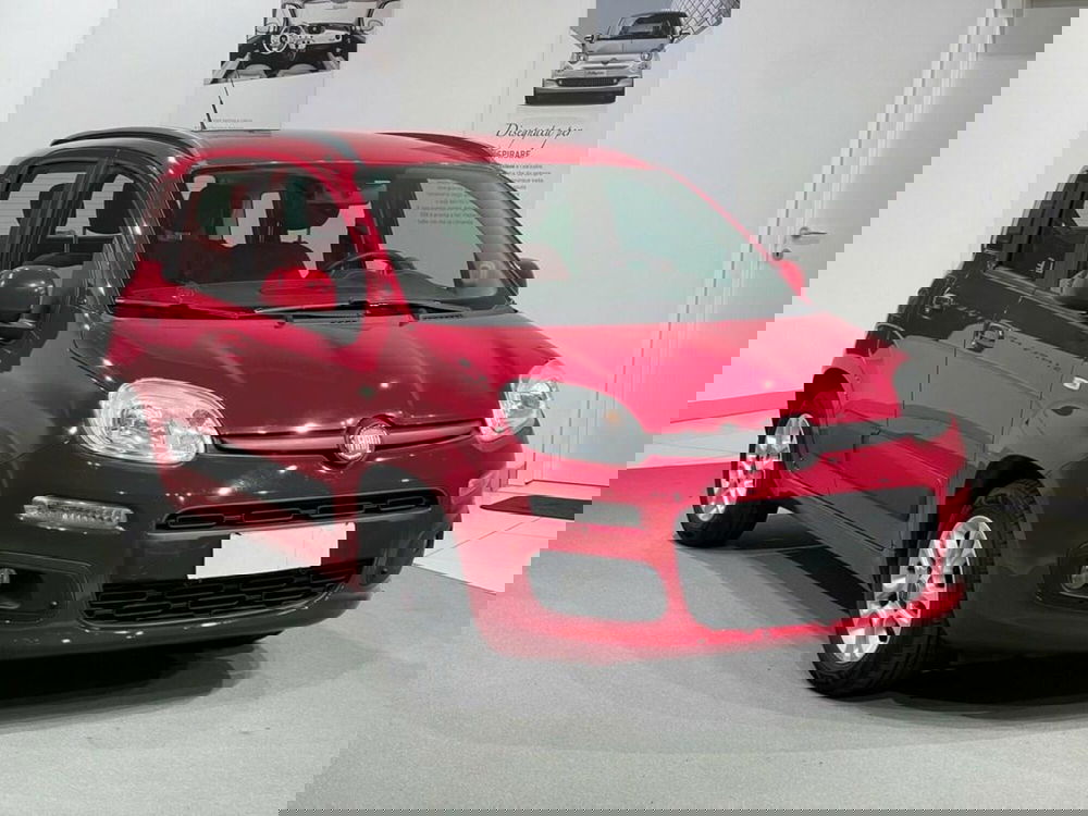 Fiat Panda usata a Sondrio (7)