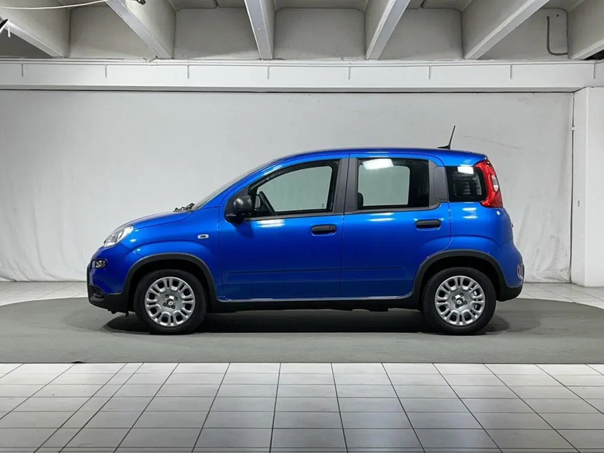 Fiat Panda Cross usata a Sondrio (2)