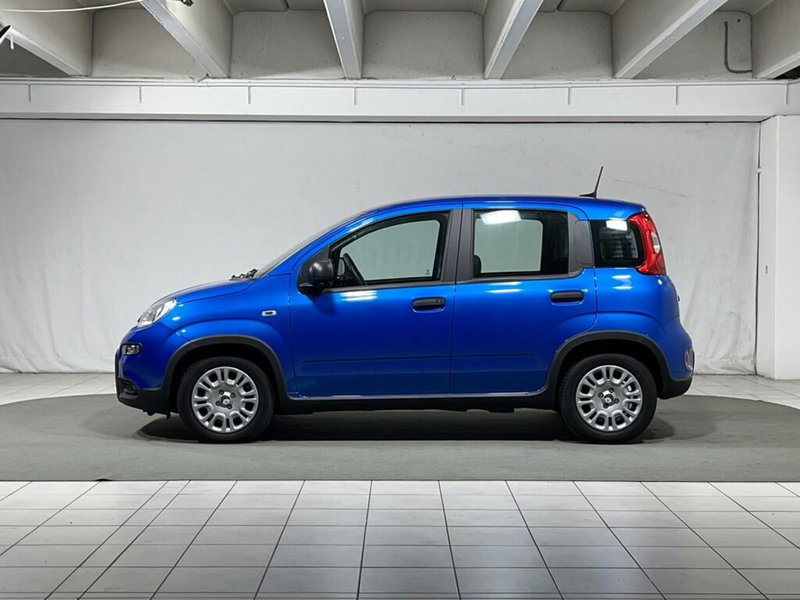 Fiat Panda Cross usata a Sondrio (2)