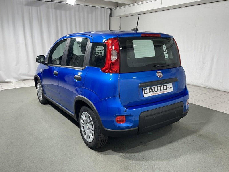 Fiat Panda Cross usata a Sondrio (3)