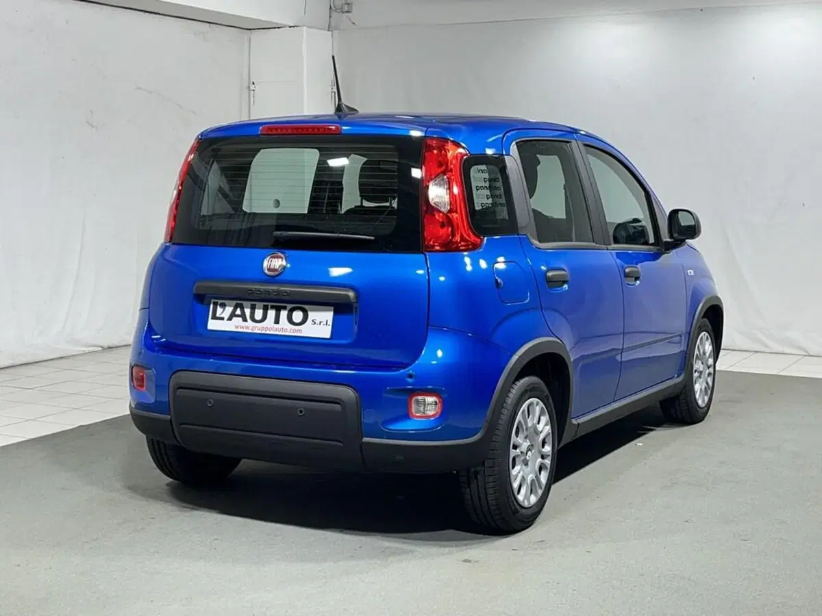 Fiat Panda Cross usata a Sondrio (5)