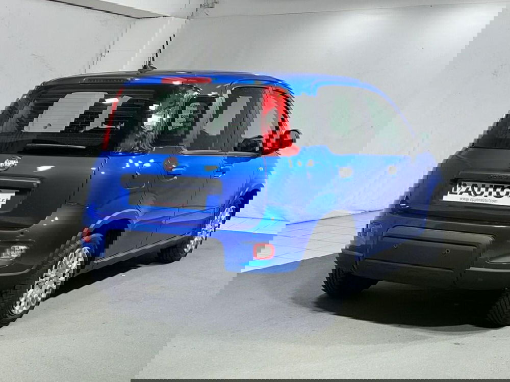 Fiat Panda Cross nuova a Sondrio (5)