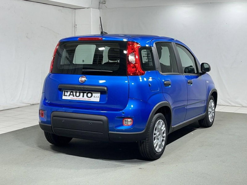 Fiat Panda Cross usata a Sondrio (5)